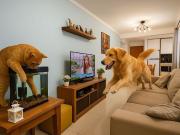 Apartamento para venda em Vila Homero Thon em Santo...