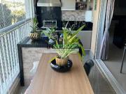 Apartamento para venda em Vila Lacerda em Jundiaí São...