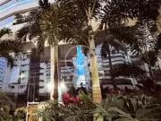 Apartamento para Venda em Vila Velha/ES Praia da Costa 4...