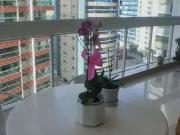 Apartamento para Venda em Vila Velha/ES Praia da Costa 4...