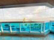 Apartamento para Venda em Vitória/ES Mata da Praia 4 Quartos