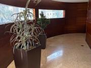 Apartamento, Paranhos