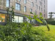 Apartamento, Paranhos