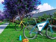 Apartamento Residencial à venda, Água Branca, Piracicaba...