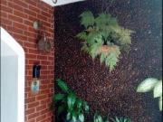 Apartamento residencial à venda, Alto da Mooca, São Paulo