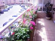 Apartamento, Santa Marinha e São Pedro da Afurada