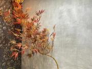 Apartamento semi mobiliado com 3 suÃtes no Jardim GoiÃ¡s...