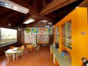 Apartamento T0, Albufeira e Olhos de Água, Albufeira |...