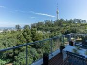 Apartamento T0 com Vistas Fantsticas
