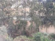 Apartamento T1, Albufeira e Olhos de Água, Albufeira |...