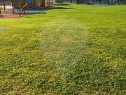 Apartamento T1, Albufeira e Olhos de Água, Albufeira |...
