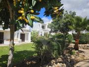 Apartamento T1, Albufeira e Olhos de Água, Albufeira |...