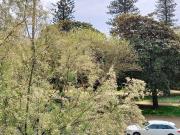 Apartamento T1, Aldoar, Foz Do Douro e Nevogilde, Porto...