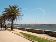 Apartamento T1, Aldoar, Foz Do Douro e Nevogilde, Porto...