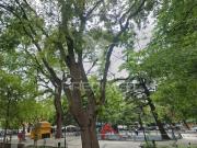 Apartamento T1, Arroios, Lisboa | BPI Expresso Imobiliário