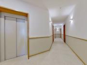 Apartamento T1, Cedofeita, Santo Ildefonso, Sé,...