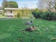 Apartamento T1 em Lisboa