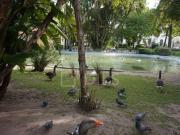 Apartamento T1, Estrela, Lisboa | BPI Expresso Imobiliário