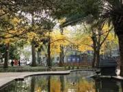 Apartamento T1, Estrela, Lisboa | BPI Expresso Imobiliário