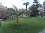 Apartamento T1, São Martinho, Funchal | BPI Expresso...