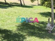 Apartamento T1, Santa Clara, Lisboa | BPI Expresso...