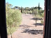 Apartamento T1, Seixal, Arrentela e Aldeia de Paio...