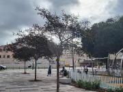 Apartamento T1, Setúbal São Julião, Nossa Senhora Da...