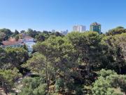 Apartamento T1 totalmente renovado para arrendamento no...