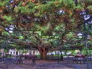 Apartamento T2+1, Santo António, Lisboa | BPI Expresso...