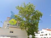 Apartamento T2+2 para venda em zona central de Albufeira