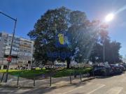 Apartamento T2, Campo de Ourique, Lisboa | BPI Expresso...