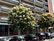 Apartamento T2 + 1 em Braga