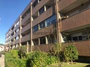 Apartamento T2 em S.Vitor para investimento