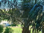 Apartamento T2, Quarteira, Loulé | BPI Expresso Imobiliário