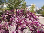 Apartamento T2, São Martinho, Funchal | BPI Expresso...