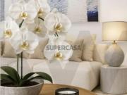 Apartamento T2/T3 no Novo Empreendimento O ALMA Montijo...