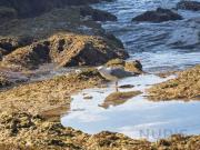 Apartamento T3, Alvor, Portimão | BPI Expresso Imobiliário