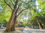 Apartamento T3, Campo de Ourique, Lisboa | BPI Expresso...