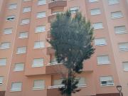Apartamento T3 para arrendar em Monte Belo Norte