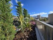 Apartamento T3, São Martinho, Funchal | BPI Expresso...