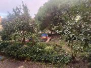 Apartamento T4, Alvalade, Lisboa | BPI Expresso Imobiliário