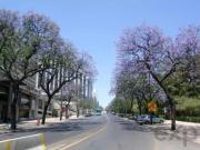 Apartamento T4, Campolide, Lisboa | BPI Expresso Imobiliário