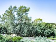 Apartamento T4, Castelo Branco, Castelo Branco | BPI...