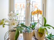 Apartamento, Santa Maria Maior, Lisboa | BPI Expresso...