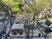 Apartamento T4, Santa Maria Maior, Lisboa | BPI Expresso...