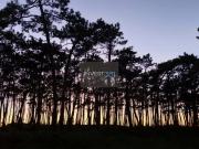 Apartamento T5, Esposende, Marinhas e Gandra, Esposende...