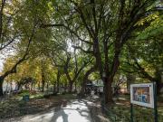 Apartamento T5 + junto ao Jardim das Amoreiras Arrendamento