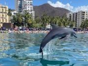Apartamento Turístico en primera Línea de playa Rodadero 005