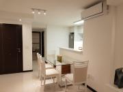 APARTAMENTO UN DORMITORIO. VISTA A MANSA