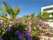 Apartamento, Vale de Lagar Quinta das Oliveiras Pedra...